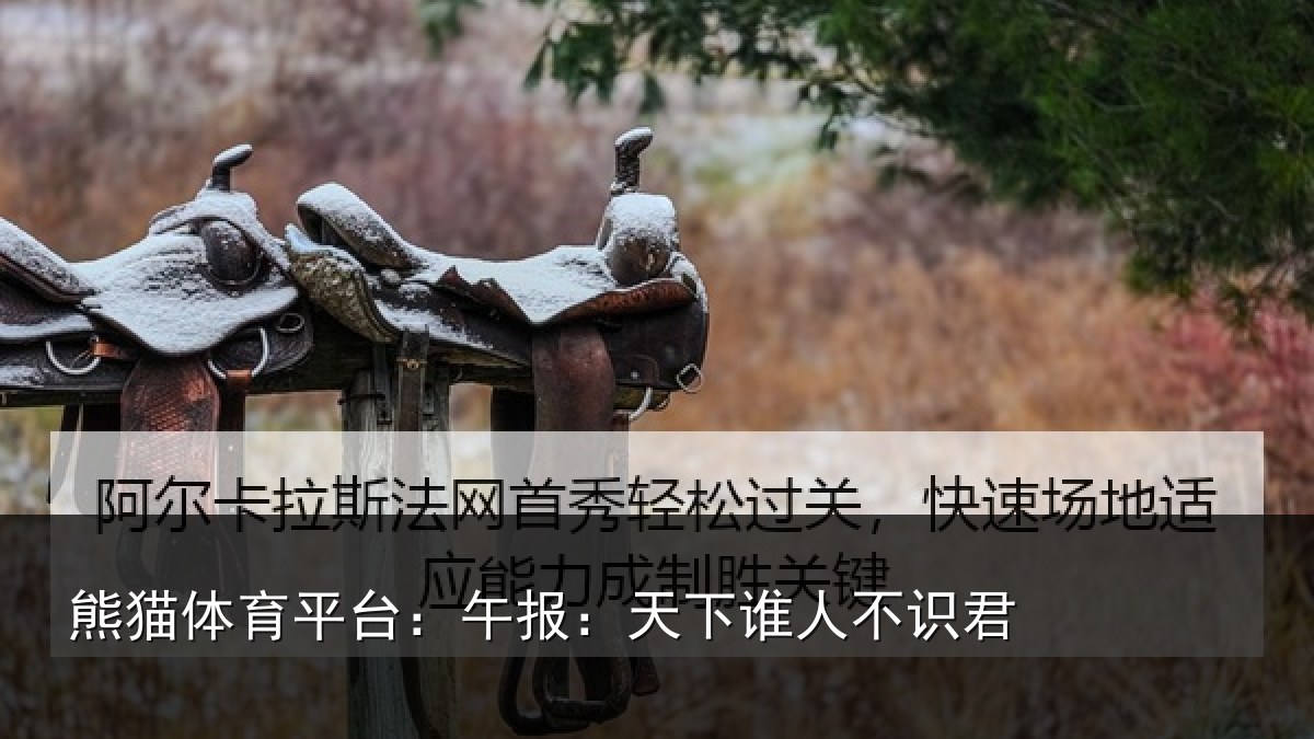 熊猫体育平台:午报:天下谁人不识君