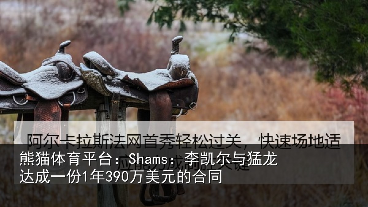 熊猫体育平台:Shams:李凯尔与猛龙达成相关情况同