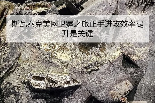 si-wa-tai-ke-mei-wang-wei-mian-zhi-lv-zheng-shou-jin-gong-xiao-lv-ti-sheng-shi-guan-jian-3-529.jpg