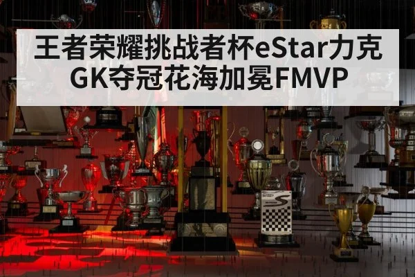 王者荣耀挑战者杯eStar力克GK夺冠花海加冕FMVP