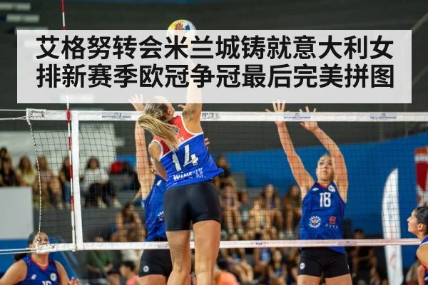 volleyball arena match