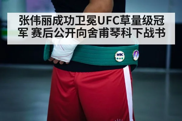 boxing championship belt